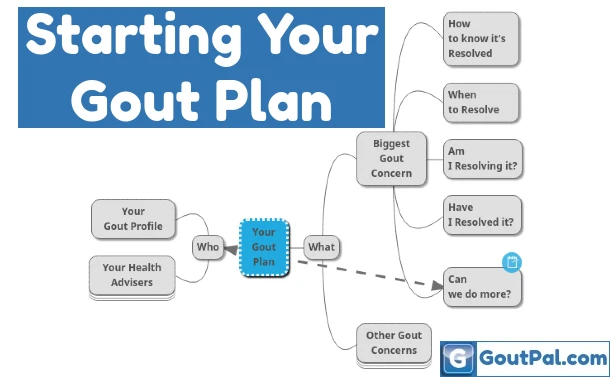 Starting a gout plan