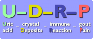 U-D-R-P The Gout Pain Pathway